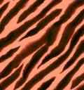 Tiger animal print Royalty Free Stock Photo