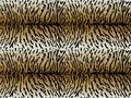 Tiger asymmetric strips seamless pattern