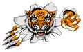 Tiger Attack Concept