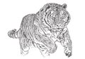 Tiger attack hand draw sketch black line monochrome vector