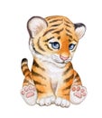 Tiger baby with raised paws, tiger cub watercolor isolated on white background. Cute cartoon Animal Royalty Free Stock Photo