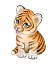 Tiger baby with raised paws, tiger cub watercolor isolated on white background. Cute cartoon Animal Royalty Free Stock Photo