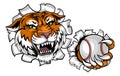 Tiger Baseball Ball Animal Sports Team Mascot