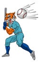 Tiger Baseball Player Mascot Swinging Bat at Ball