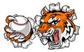 Tiger Tennis Player Animal Sports Mascot