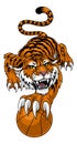 Tiger Basketball Ball Animal Sports Team Mascot