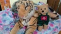 Tiger, Bear, Flowers, Pink, Blue, Stuffed Toys, Animals