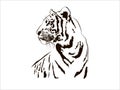 Tiger Big Cat Leopard Lion Pantera Yaguar Wild Black White Face Portrait Nature .Svg .Eps .Png Clipart Vector Tattoo