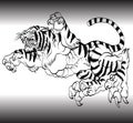 Tiger black and white vector illustration