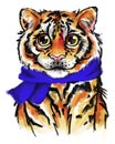 tiger with a blue scarf and big eyes. tiger cub illustration isolated on white background