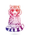 Tiger - Buddha - a monk in cool sunglasses. Buddhist in a robe. A tiger in a lotus position soars above the ground