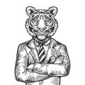 Tiger businessman engraving vector illustration Royalty Free Stock Photo