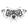 Tiger butterfly hand drawn illusion artwork