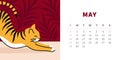 Tiger calendar design concept 2022. Horizontal page template for may. Ginger tabby cat stretching. Chinese symbol of the
