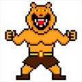 Tiger cartoon Fighter warrior with pixel art.