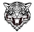 Tiger cat aggressive ()