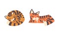 Tiger Character with Orange Fur and Black Stripes Cuddling and Sleeping Vector Illustration Set Royalty Free Stock Photo