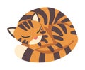 Tiger Character with Orange Fur and Black Stripes Cuddling and Sleeping Vector Illustration Royalty Free Stock Photo