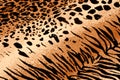 Tiger Cheetah Print Background Royalty Free Stock Photo