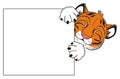 Tiger with clean banner