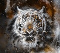 Tiger collage on color abstract background, rust structure, wildlife animals.