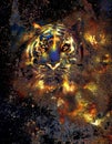 Tiger collage on color abstract background