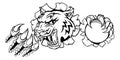 Tiger Cricket Player Animal Sports Mascot