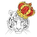 Tiger in the crown. Vector illustration.