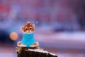 Tiger cub in a blue sweater on a stump in winter. Toy for the Christmas tree. Snowing. City street with transport in strong blur
