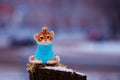 Tiger cub in a blue sweater on a stump in winter. Toy for the Christmas tree. Snowing. City street with transport in