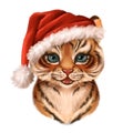 Tiger cub in santa Hat. Christmas cute animal illustration