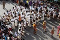 Tiger dance procession Royalty Free Stock Photo