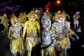 Tiger dance procession Royalty Free Stock Photo