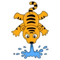 The tiger is doing a circus show spouting water from his mouth, doodle icon image kawaii