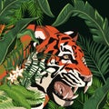 Tiger drawing in the jungle