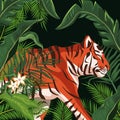 Tiger drawing in the jungle