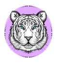 Tiger emblem or logo, front view tiger portrait, hand drawn