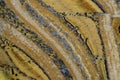 tiger eye mineral texture Royalty Free Stock Photo