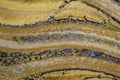 tiger eye mineral texture Royalty Free Stock Photo