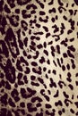 Tiger fabric texture Royalty Free Stock Photo