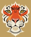 Tiger face Royalty Free Stock Photo