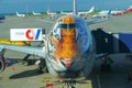 Tiger face airplane Royalty Free Stock Photo