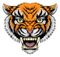 Tiger face illustration Royalty Free Stock Photo
