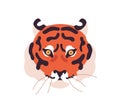 Tiger face portrait. Wild cats head icon. Predators muzzle. Tropical carnivore feline animal avatar. Amur hunter snout
