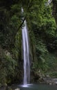 Tiger Fall in Uttarakhand