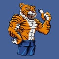 Tiger Fighting Mascot Royalty Free Stock Photo