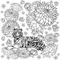 Tiger and flower pattern vector contrast abstract illustration design hand drawing