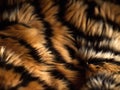 Tiger fur background closeup for International Tiger Day. Jungle wild animal skin texture. Generative AI Royalty Free Stock Photo