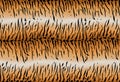 Tiger fur pattern. Tiger skin striped seamless vector. Animal print. Faux black lines wild cat print texture. Graphic illustration Royalty Free Stock Photo