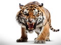 Ai Generated illustration Wildlife Concept of Tiger fury Royalty Free Stock Photo